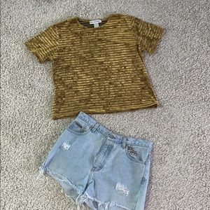 Vintage Velvet & mesh gold striped Victoria Jones